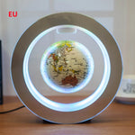 Floating Magnetic Levitation World Map Globe