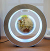Floating Magnetic Levitation World Map Globe
